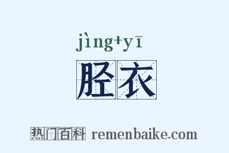 胫衣是什么意思的图片